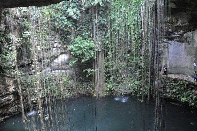 cenote3.jpg