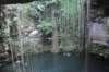 cenote3_small.jpg